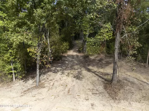 7 Nail Rd, Walls, MS 38680 photo 26