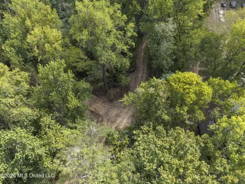7 Nail Rd, Walls, MS 38680 photo 13
