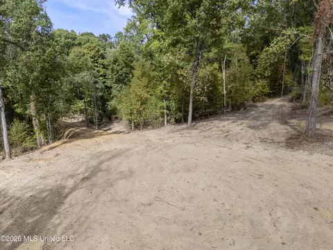 7 Nail Rd, Walls, MS 38680 photo 30