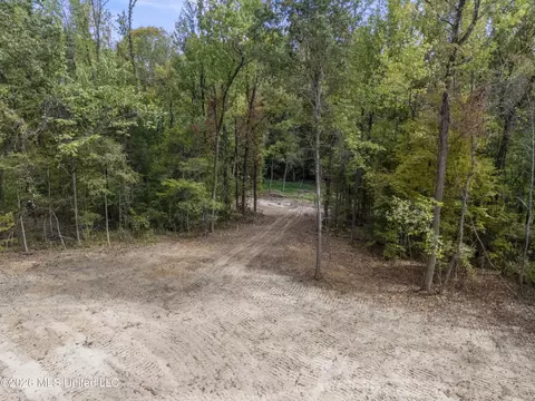 7 Nail Rd, Walls, MS 38680 photo 25