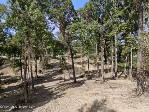 7 Nail Rd, Walls, MS 38680 photo 46