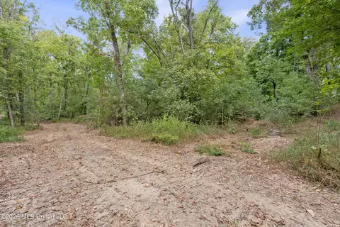 7 Nail Rd, Walls, MS 38680 photo 68
