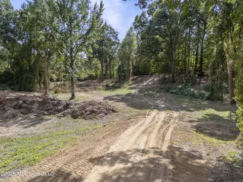 7 Nail Rd, Walls, MS 38680 photo 16