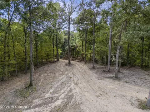7 Nail Rd, Walls, MS 38680 photo 20
