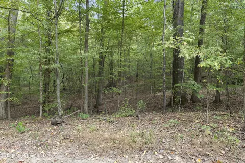 7 Nail Rd, Walls, MS 38680 photo 78
