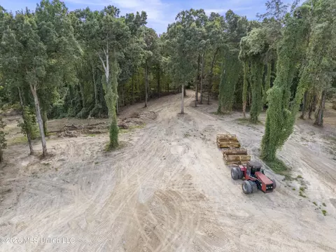 7 Nail Rd, Walls, MS 38680 photo 18