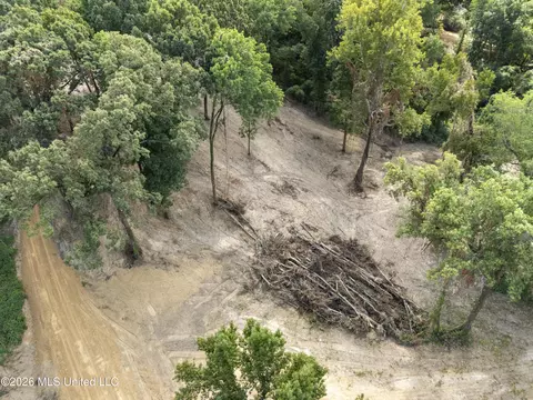 7 Nail Rd, Walls, MS 38680 photo 52