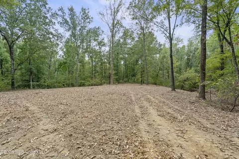 7 Nail Rd, Walls, MS 38680 photo 62