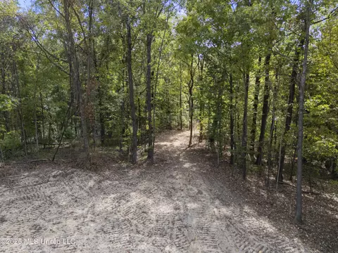 7 Nail Rd, Walls, MS 38680 photo 29