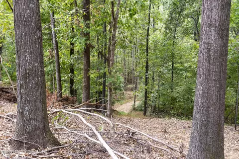 7 Nail Rd, Walls, MS 38680 photo 61