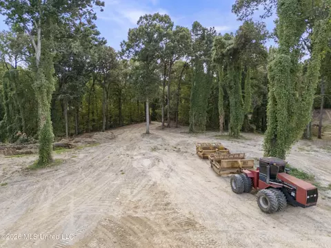7 Nail Rd, Walls, MS 38680 photo 19