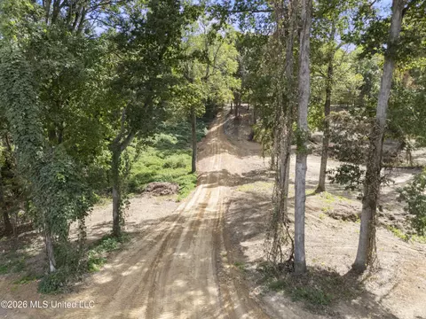 7 Nail Rd, Walls, MS 38680 photo 42