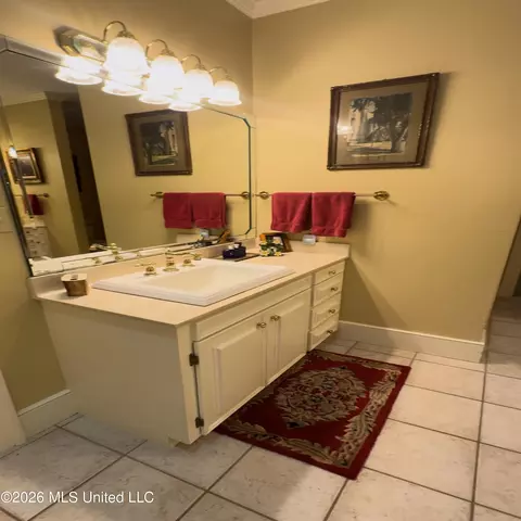 Bath - 48 Fairway Dr, Natchez, MS 39120 photo 10 of 12