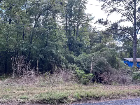 0 Mccluer Rd, Jackson, MS 39212 photo 3