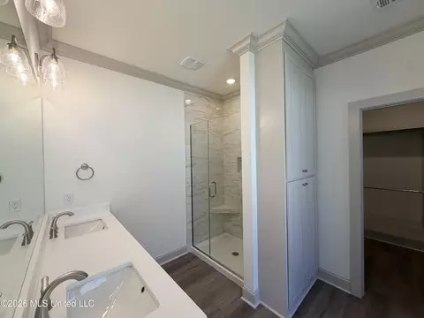 Bath - 312 Brookfield Cir, Brandon, MS 39042 photo 3 of 6