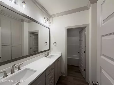Bath - 312 Brookfield Cir, Brandon, MS 39042 photo 4 of 6