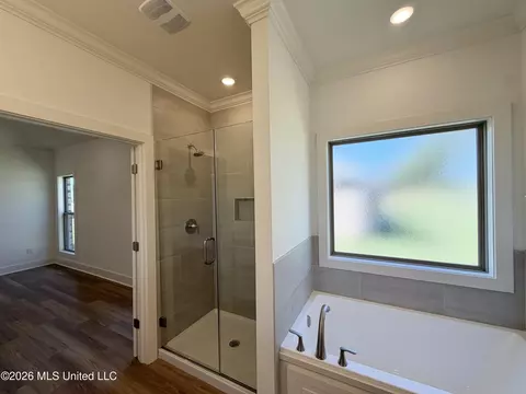 Bath - 316 Brookfield Cir, Brandon, MS 39042 photo 3 of 5