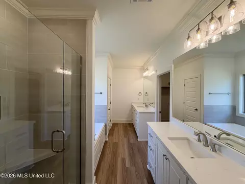 Bath - 316 Brookfield Cir, Brandon, MS 39042 photo 1 of 5
