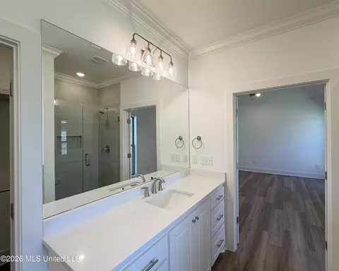 Bath - 316 Brookfield Cir, Brandon, MS 39042 photo 2 of 5