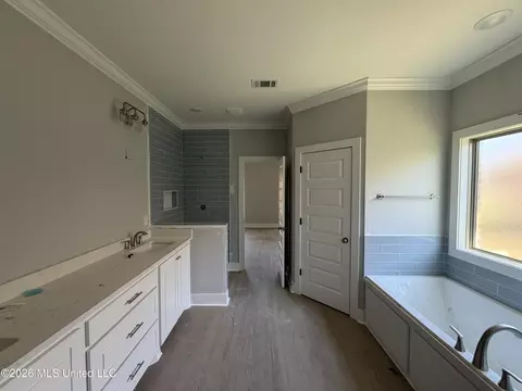Bath - 320 Brookfield Cir, Brandon, MS 39042 photo 2 of 5