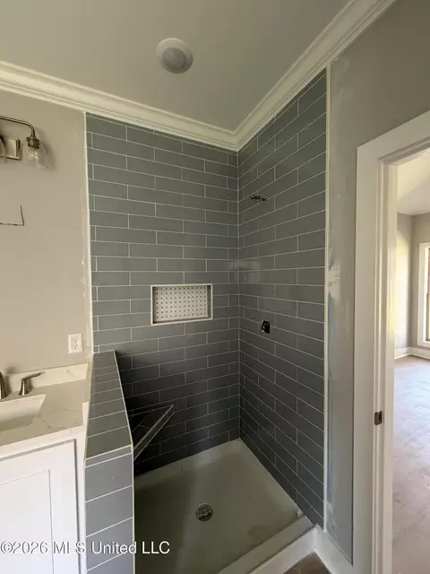 Bath - 320 Brookfield Cir, Brandon, MS 39042 photo 4 of 5