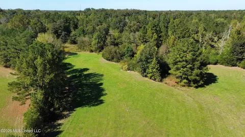Midway Road, Lena, MS 39094 photo 8