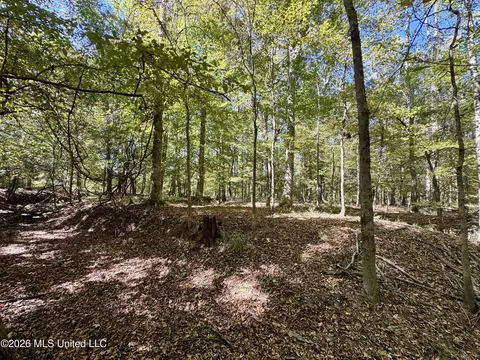 Midway Road, Lena, MS 39094 photo 21