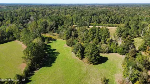 Midway Road, Lena, MS 39094 photo 13