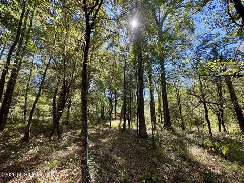 Midway Road, Lena, MS 39094 photo 17