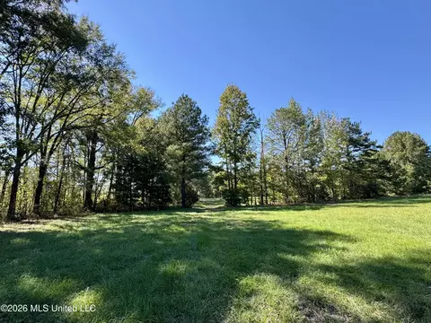 Midway Road, Lena, MS 39094 photo 15