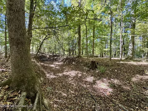 Midway Road, Lena, MS 39094 photo 22