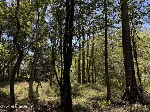 Midway Road, Lena, MS 39094 photo 18