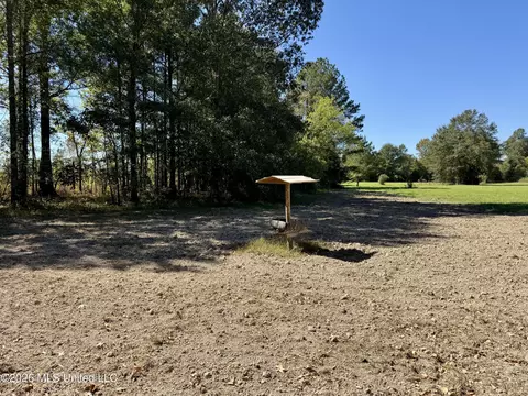 Midway Road, Lena, MS 39094 photo 14