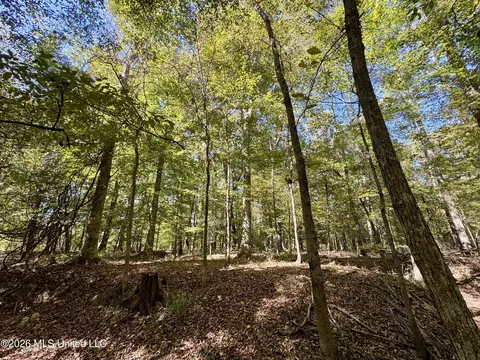 Midway Road, Lena, MS 39094 photo 23
