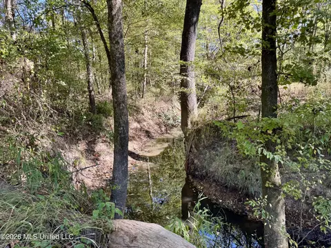 Midway Road, Lena, MS 39094 photo 19