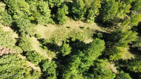 Midway Road, Lena, MS 39094 photo 12