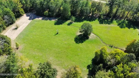 Midway Road, Lena, MS 39094 photo 10