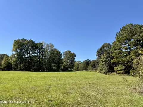 Midway Road, Lena, MS 39094 photo 24