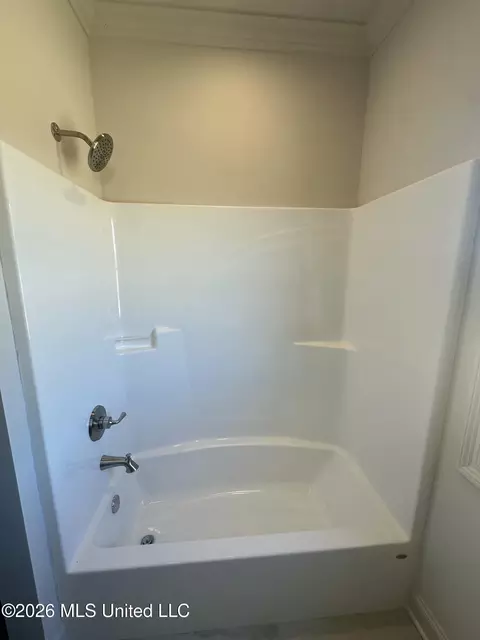 Bath - 425 Old Maple Cv, Madison, MS 39110 photo 6 of 7