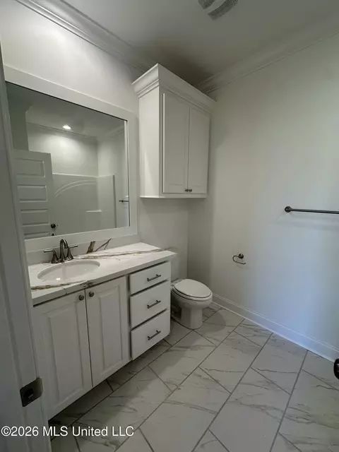 Bath - 426 Old Maple Cv, Madison, MS 39110 photo 6 of 9