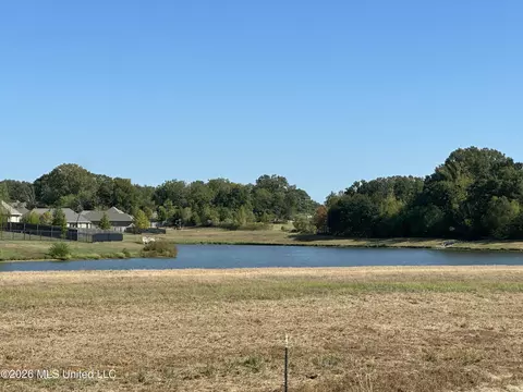 View/Area - 426 Old Maple Cv, Madison, MS 39110 photo 1 of 1