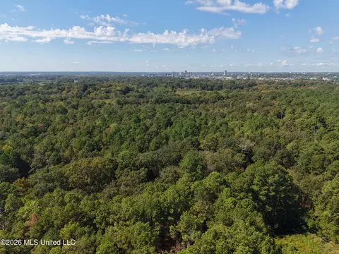 000 Flowood Dr, Flowood, MS 39232 photo 12