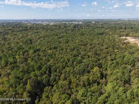 000 Flowood Dr, Flowood, MS 39232 photo 8