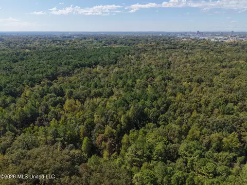 000 Flowood Dr, Flowood, MS 39232 photo 5
