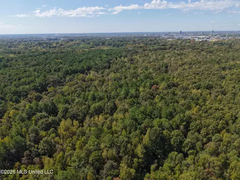 000 Flowood Dr, Flowood, MS 39232 photo 7