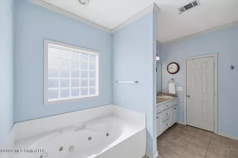 Bath - 344 Red Eagle Cir, Ridgeland, MS 39157 photo 3 of 5