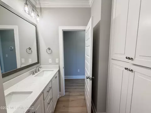 Bath - 314 Brookfield Cir, Brandon, MS 39042 photo 7 of 7