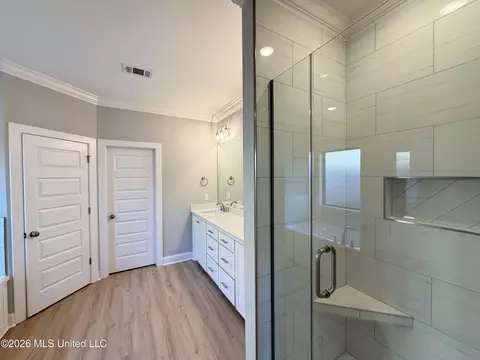 Bath - 314 Brookfield Cir, Brandon, MS 39042 photo 1 of 7
