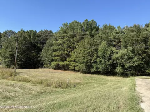 Lakeland Drive, Flowood, MS 39232 photo 5