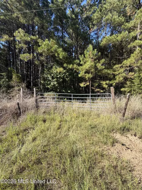 Coons Mill Road, Centreville, MS 39631